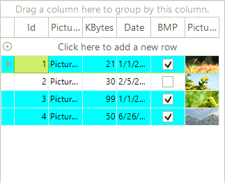 WinForms RadGridView Formatted Rows