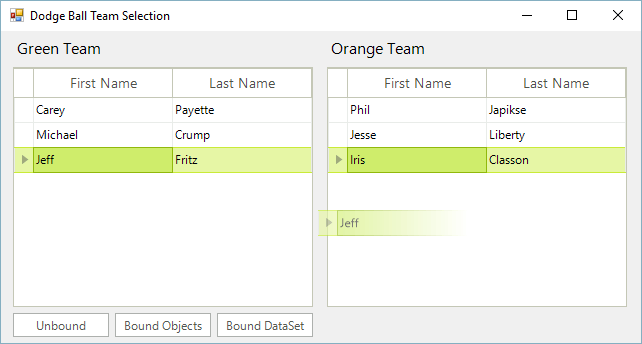 WinForms RadGridView Two Controls