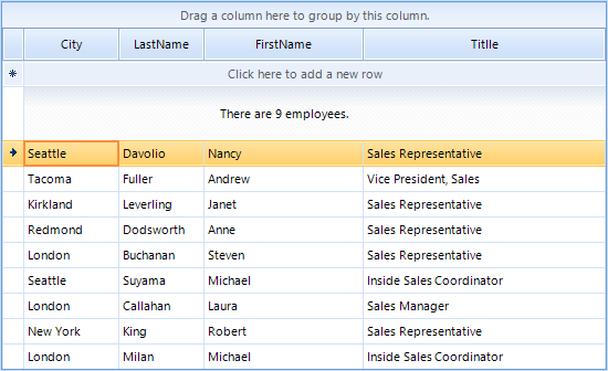 WinForms RadGridView Summary Row Height