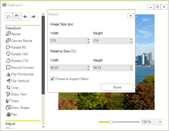 WinForms RadImageEditor Custom Dialog