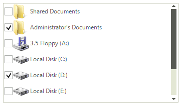 WinForms RadListView List View