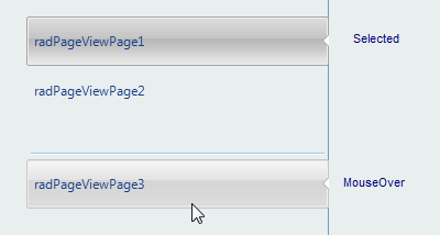 WinForms RadPageView Save Load Dialog