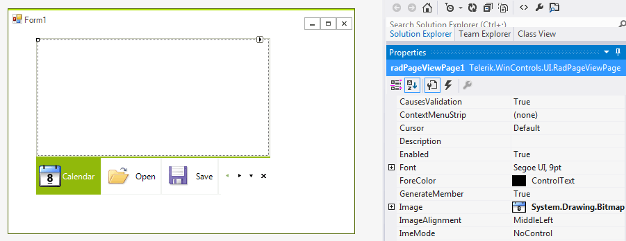 WinForms RadPageView Page Properties Window