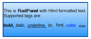 WinForms RadPanel Overview