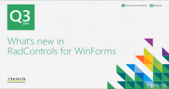 WinForms RadPivotGrid Webinar Q 32012