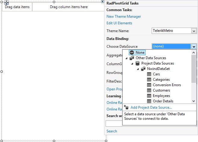 WinForms RadPivotGrid Design Time Data Binding