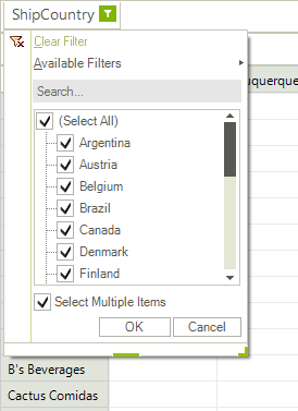 WinForms RadPivotGrid Report Filters