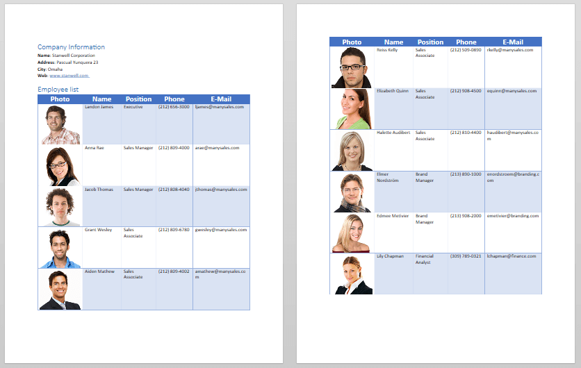 WinForms RadRichTextEditor Table with repeat header row applied