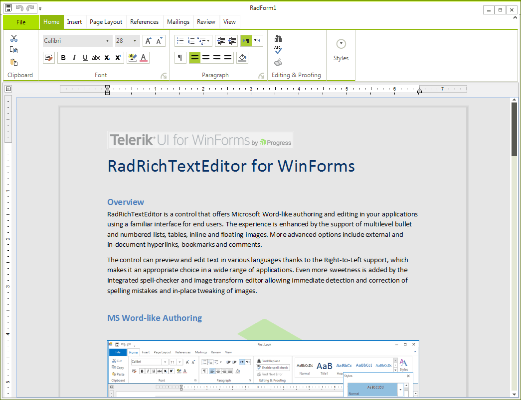 WinForms RadRichTextEditor Overview