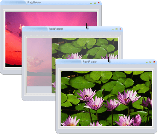 WinForms RadRotator Rotator Frame Animation