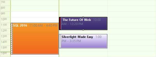 WinForms RadScheduler Exact Time Rendering