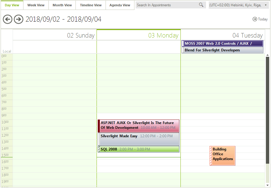 WinForms RadScheduler Day View