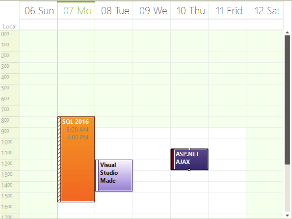 WinForms RadScheduler Week View