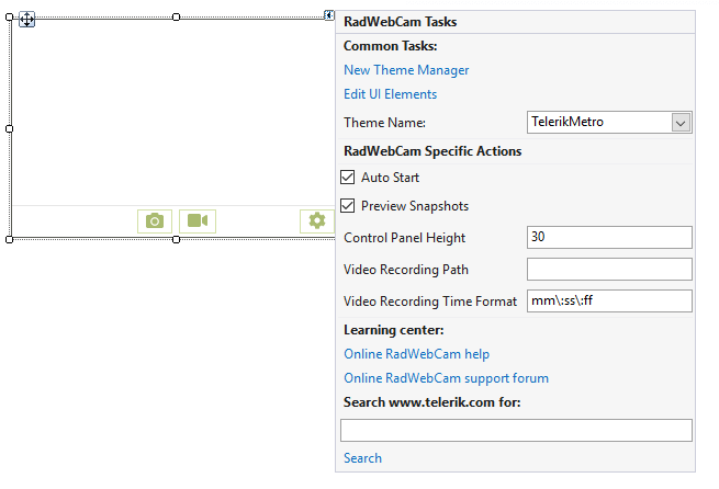 WinForms RadWebCam's Smart Tag