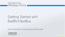 WinForms RadRichTextBox richtextbox-getting-started 000
