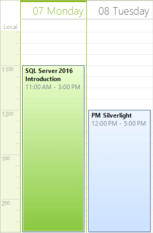 WinForms RadScheduler Hour Time Format