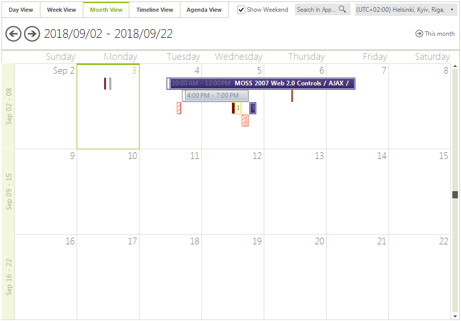 WinForms RadScheduler Month View