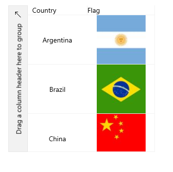 WinUI DataGrid Template Column