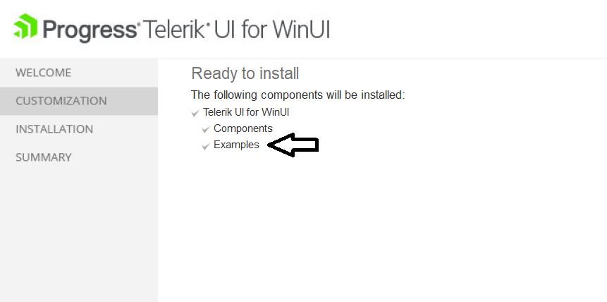 WinUI Setup Wizard