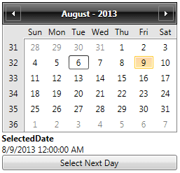 calendar basics display Mode 1