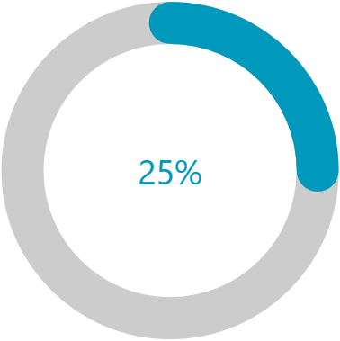 WPF RadCircularProgressBar Overview