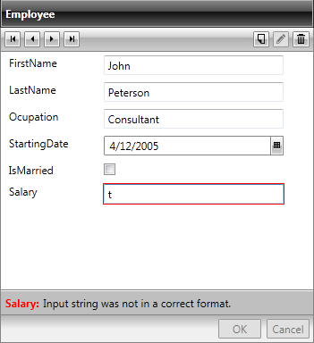 WPF RadDataForm Built-In Validation