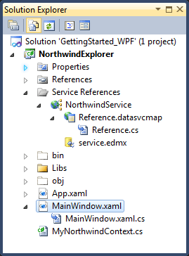 WPF RadDataServiceDataSource Generated Files WPF