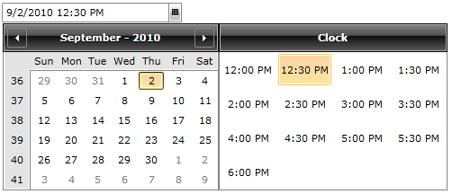 WPF RadDateTimePicker with Custom TimeInterval