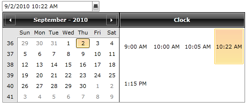 WPF RadDateTimePicker with Custom ClockItemsSource