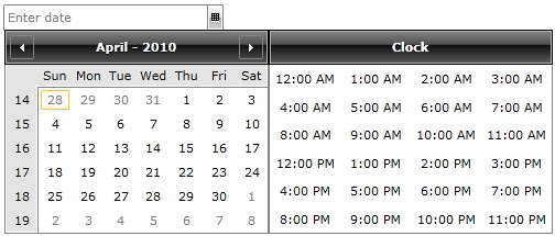 WPF RadDateTimePicker with Custom DisplayDate