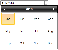 WPF RadDateTimePicker DateTimePicker with selection mode set to Month