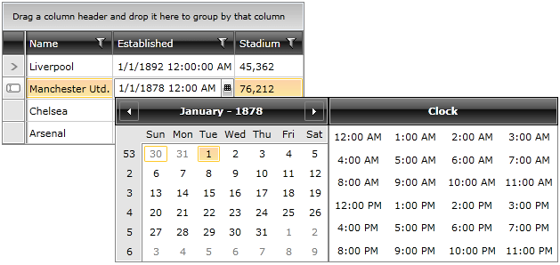 WPF RadDateTimePicker in RadGridView