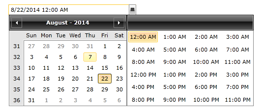 Rad Date Time Picker Overview