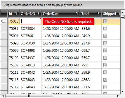 Telerik WPF DataGrid managing data validation 050