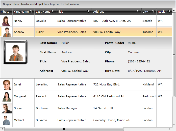 Telerik WPF DataGrid Key Features 1