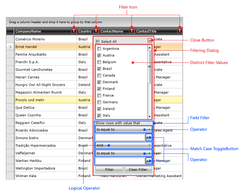 Telerik WPF DataGrid Visual Structure Filtering