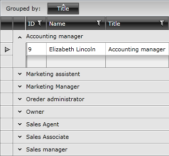 Telerik WPF DataGrid Grouping GroupFooters 010