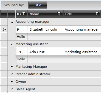 Telerik WPF DataGrid Grouping GroupFooters 020