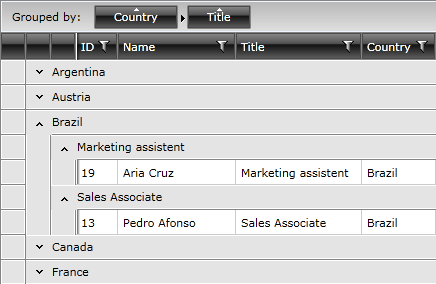 Telerik WPF DataGrid MultiColumnGrouping 1