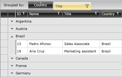 Telerik WPF DataGrid MultiColumnGrouping 2