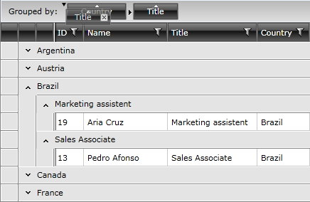 Telerik WPF DataGrid MultiColumnGrouping 3