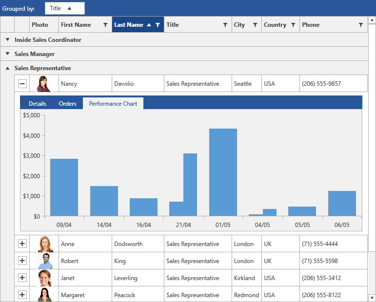 WPF RadGridView Overview