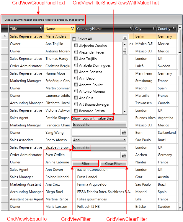 Telerik WPF DataGrid Localization 3