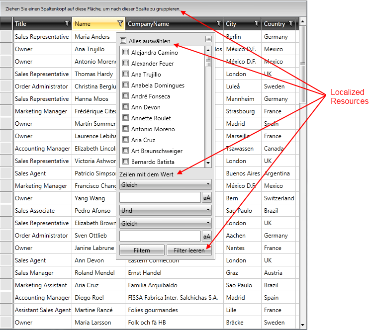 Telerik WPF DataGrid Localization 4