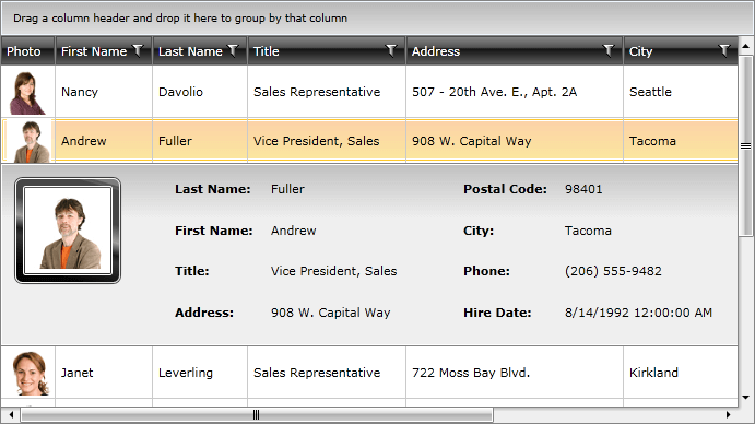 Telerik WPF DataGrid RowDetails 1