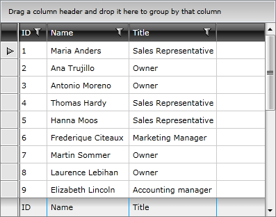 Telerik WPF DataGrid Styles and Templates Styling GridViewColumnFooterCell 03