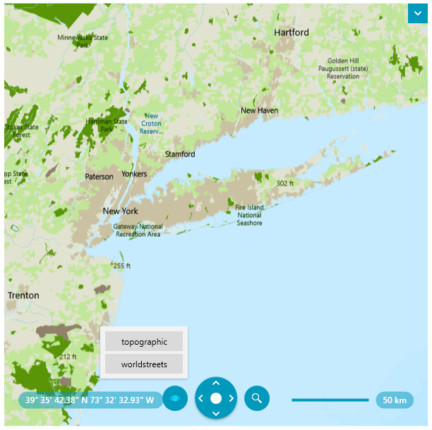 A RadMap with custom VectorTileMapProvider showing tiles from the ArcGIS vector tile services