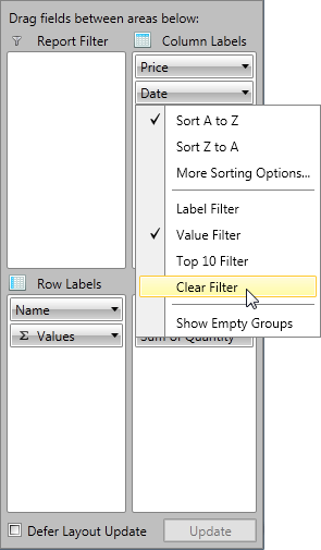 Rad Pivot Grid Features Filtering 07