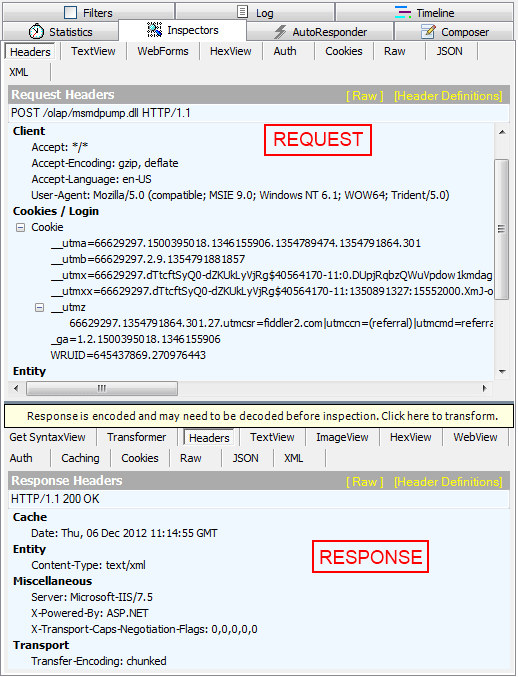 Rad Pivot Grid How To Debug Olap 02