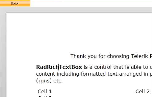 Rad Rich Text Box Features Commands 01